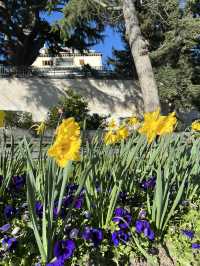 Best of spring in Madrid