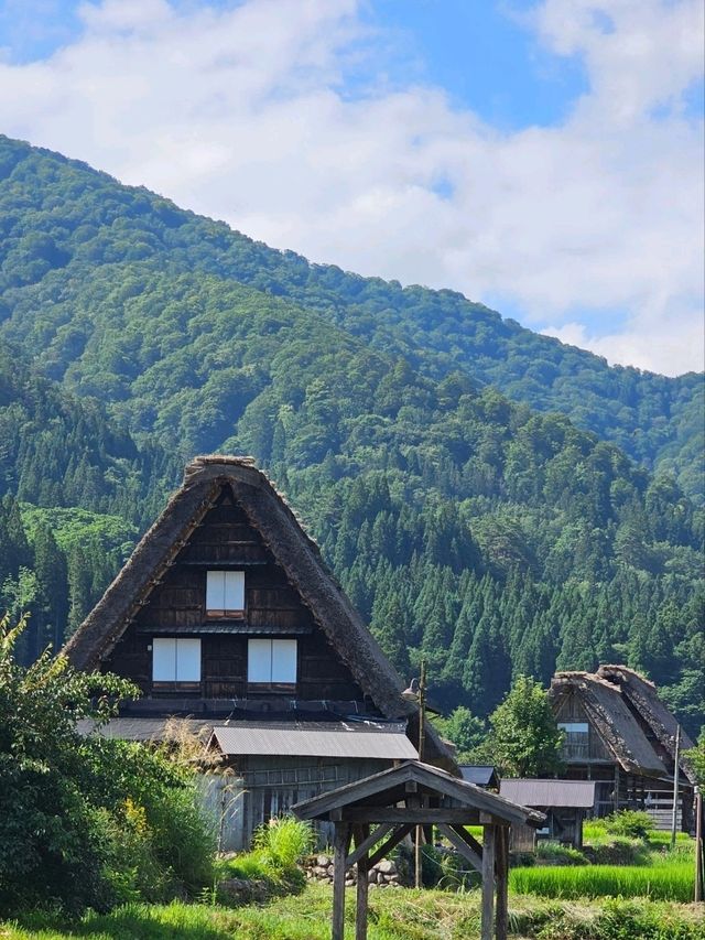 Shirakawa-go: A Timeless Village in the Japanese Alps