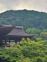 Walking Through the Green Side of Kiyomizu-dera