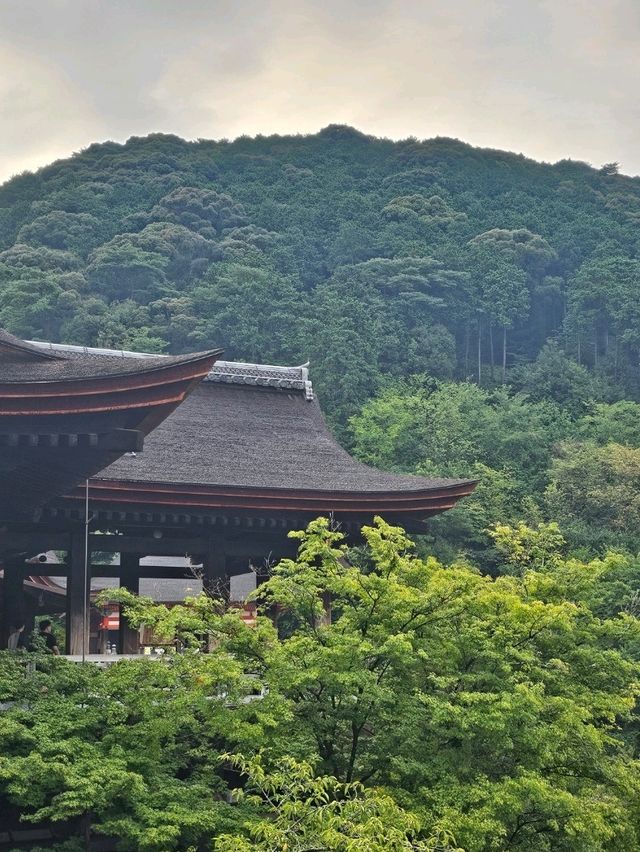 Walking Through the Green Side of Kiyomizu-dera