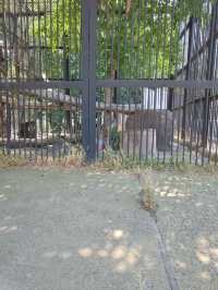 Yerevan Zoo