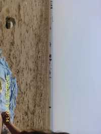 beach life or no life 