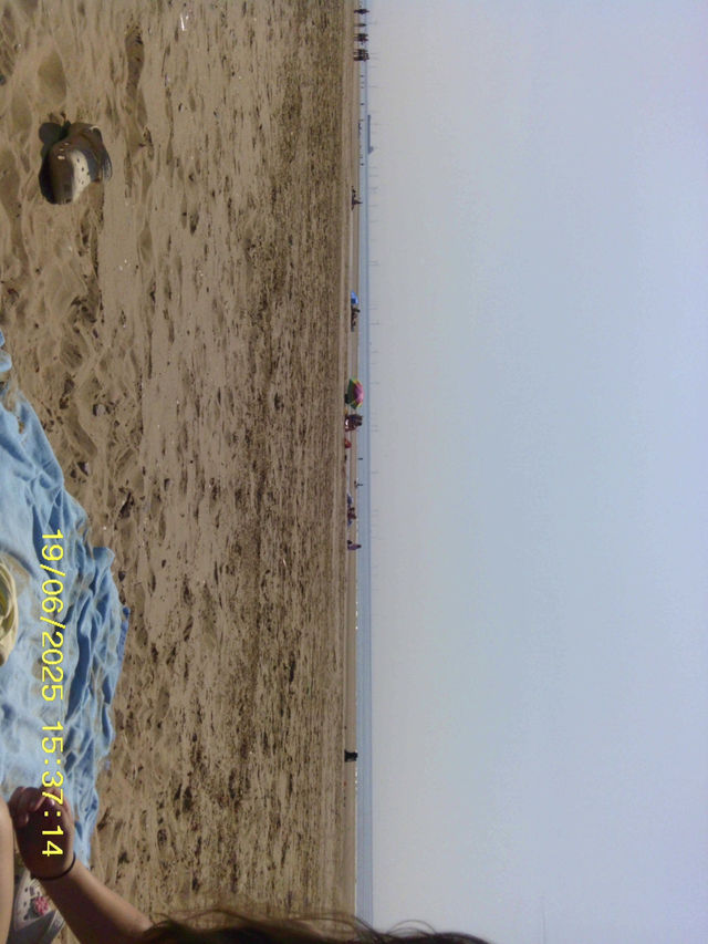 beach life or no life 