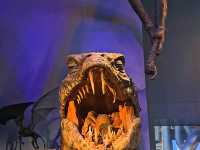 Harry potter studio tour