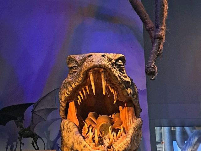 Harry potter studio tour