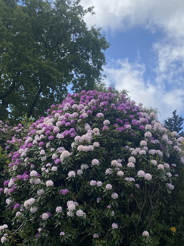 Lampeter: A Quiet Welsh Gem with a Gentle Soul