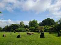 Cardiff City Walk