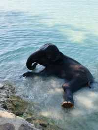 Koh Chang is a real paradise!