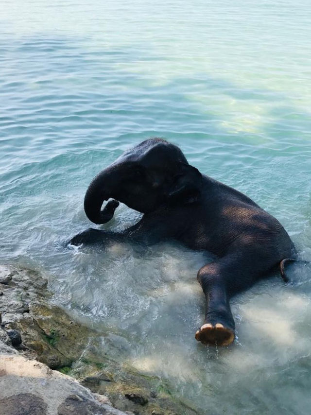 Koh Chang is a real paradise!