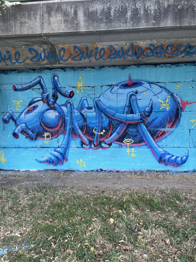 Street Art Tour in Vienna 🎨