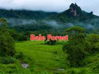 Amazing visit to Ethiopian Tourist areas 