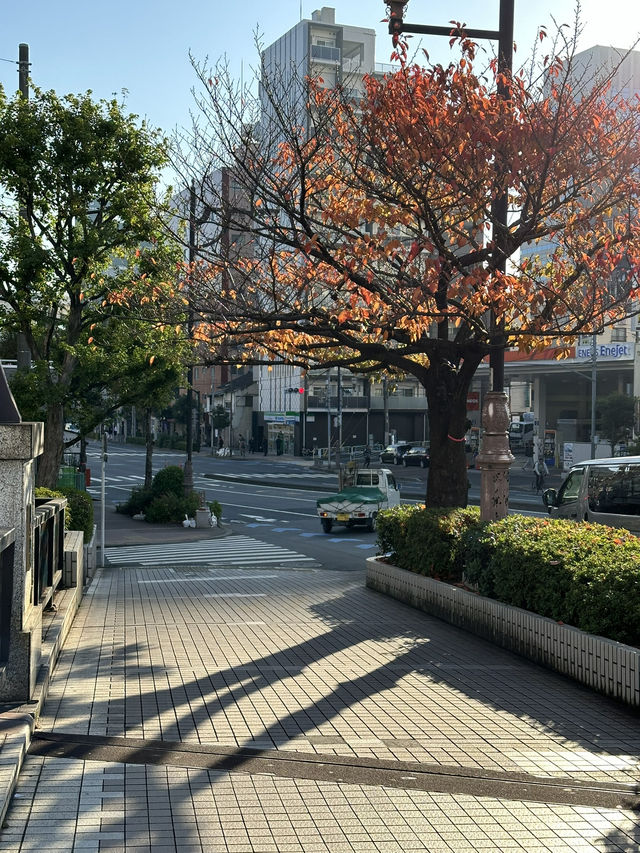 Exploring Tokyo & Kyoto means diving deep into centuries