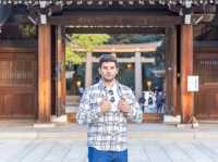Two iconic cities, endless neon: Tokyo x Kyoto Review