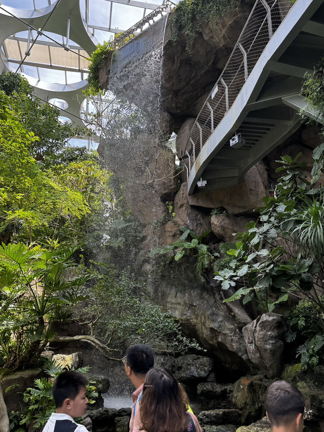 Shanghai Greenhouse Garden 🌿✨