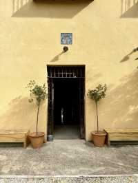 Light, Texture, and Thought