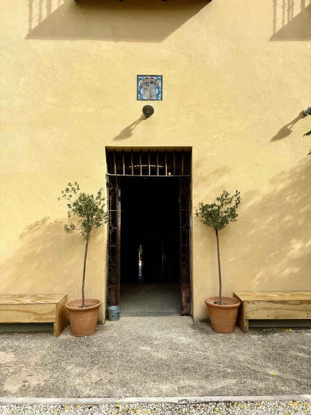 Light, Texture, and Thought Light, Texture, and Thought