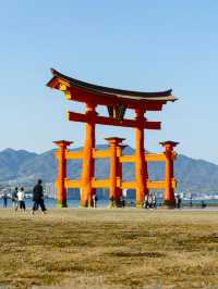 ⛩️ 宮島・厳島神社で体験する幻想的な海上の神域
