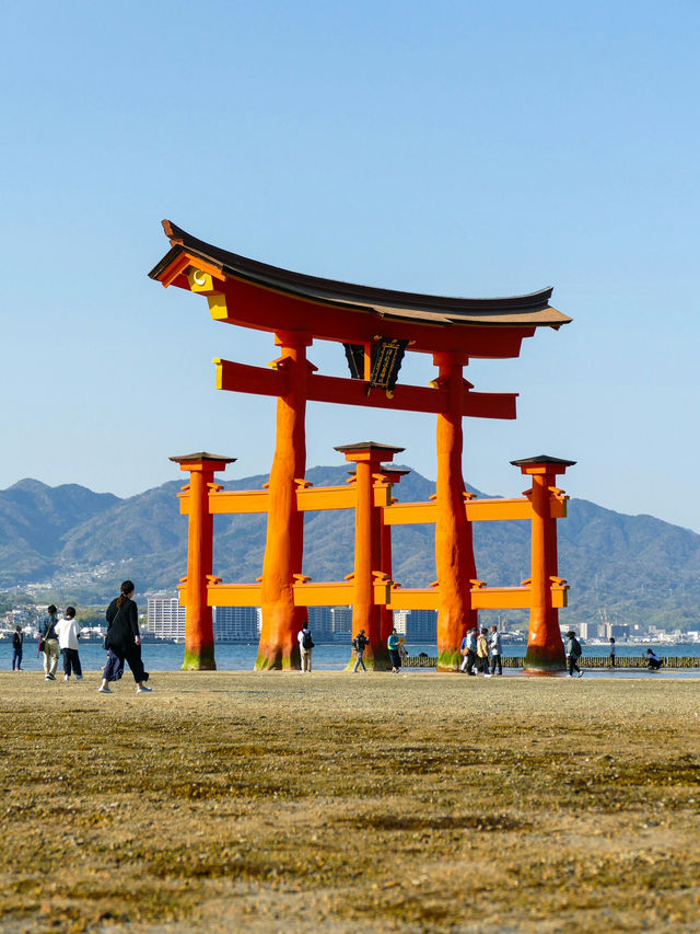 ⛩️ 宮島・厳島神社で体験する幻想的な海上の神域