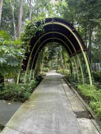 💮 🌿✨ Gardens by the Bay -Daytime