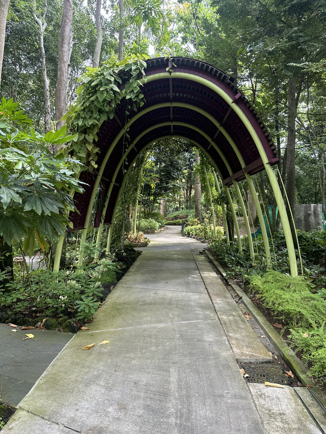 💮 🌿✨ Gardens by the Bay -Daytime