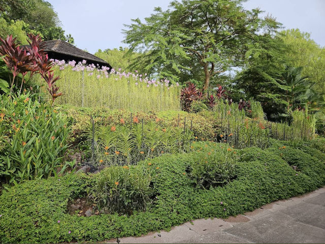 National Orchid Garden