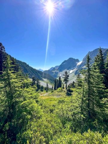 หลีกหนีความวุ่นวายไปสู่ธรรมชาติ🌲