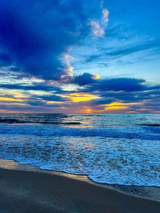 Golden Wave Magic✨