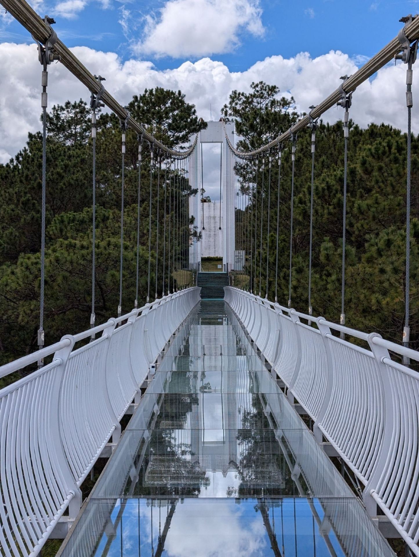 Valley of Love in Da Lat — Much More Than Just a Romantic Park 🌲