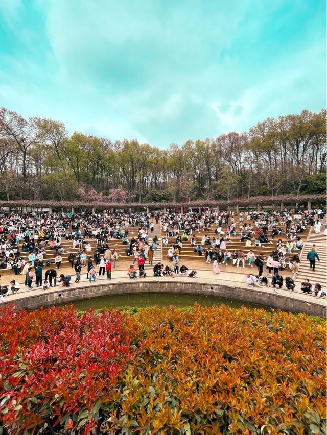 The Home of the Pigeons, Nanjing