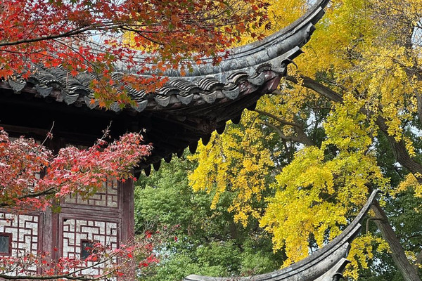 蘇州】中国四大名園かつ世界文化遺産のひとつ「留園」 | Trip.com 蘇州