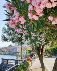 Gems of Lake Como: Varenna, Menaggio, and Bellagio 💎