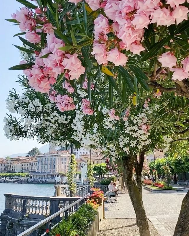 Gems of Lake Como: Varenna, Menaggio, and Bellagio 💎