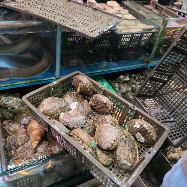 近走深圳南山蛇口一天遊
