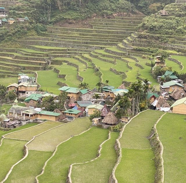 World Famous Rice Terraces!🇵🇭