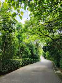 綠意盎然的寶安城市公園，親近大自然休閒好去處