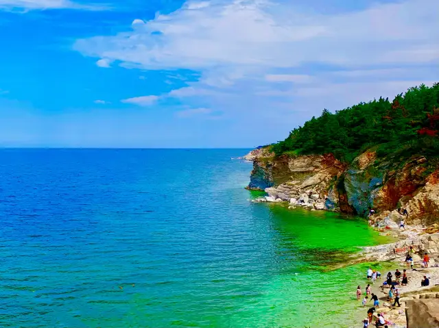 Jeju Island, the sea of fruit green under the lotus sunset