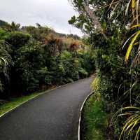 The Pancake Rocks For Breakfast | New Zealand 