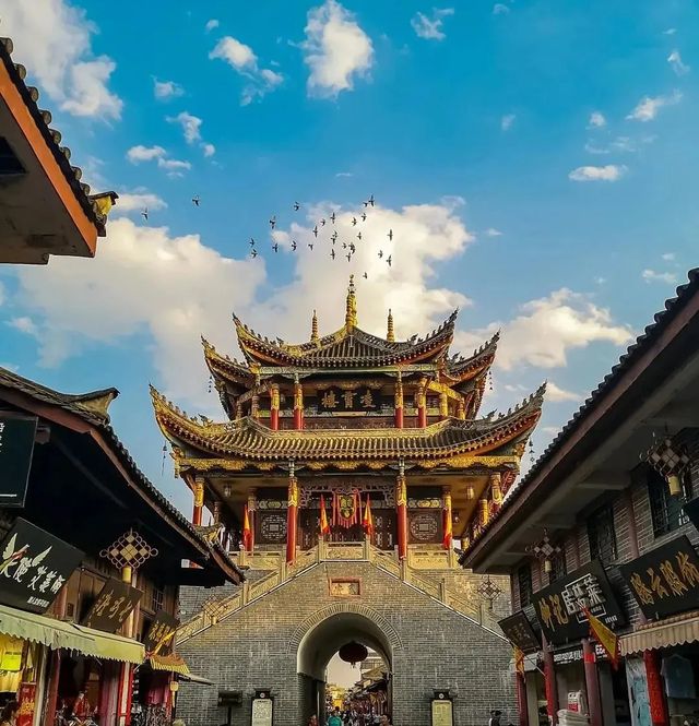 走，來涼山曬太陽！
