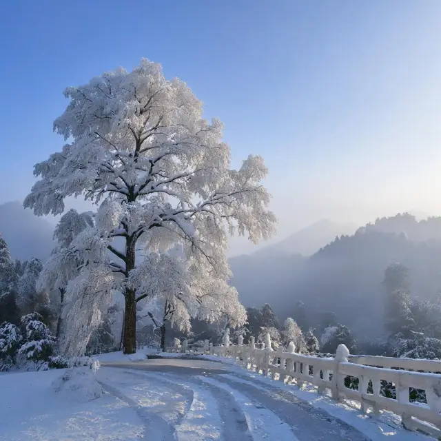 湖南霧氷雪原の旅行ガイド～