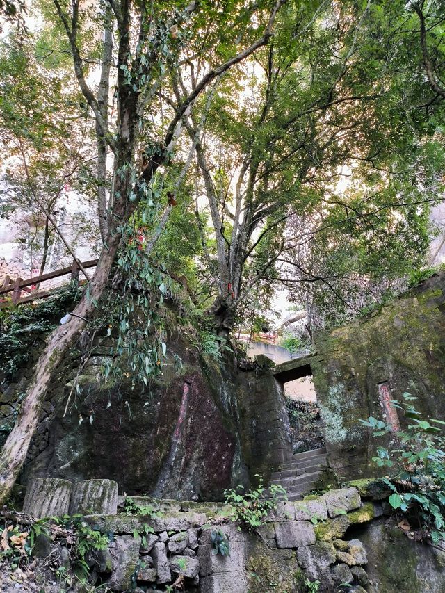 武夷山公交遊第三天——虎嘯岩穿越到一線天