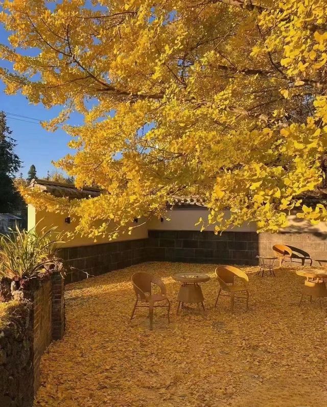 鄭州寒假有一不花錢的快樂強烈建議點贊收藏