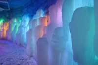 深圳人有自己的“爾濱”！｜深圳野生動物園裡的冰雪世界!