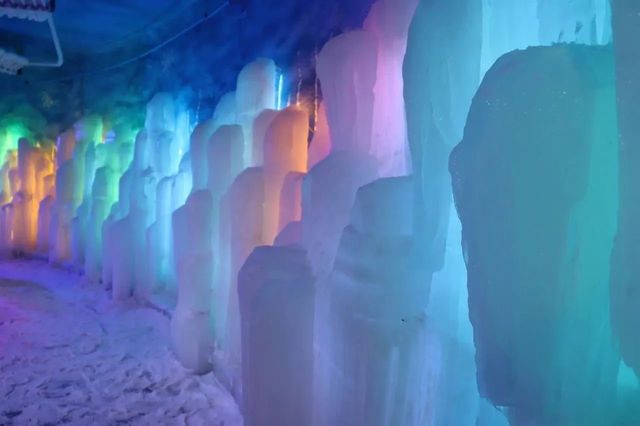 深圳人有自己的“爾濱”！｜深圳野生動物園裡的冰雪世界!