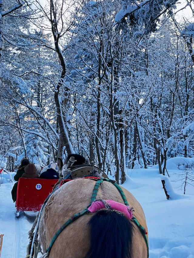 長白山 | 雪嶺南方小土豆來看冰雪世界！