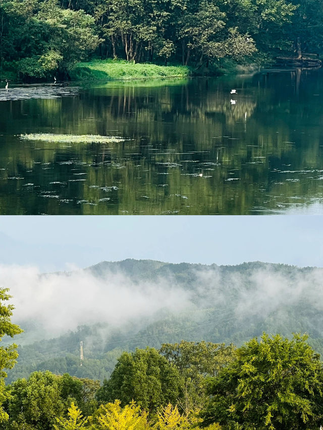 西溪南古村深度遊攻略，綠野仙蹤篇