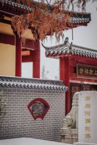 武漢的雪，落在了木蘭山之上
