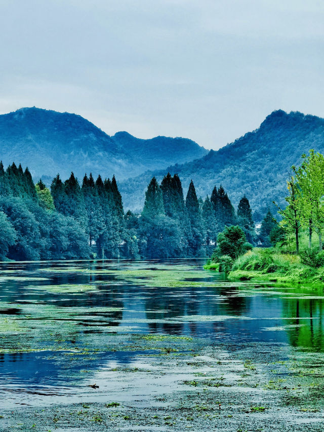 齊雲山腳下的這座古橋，仿佛走進了畫中般