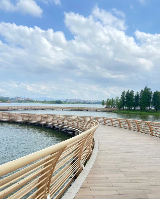 身邊的風景，集“萬千功能於一體”的市級公園！！