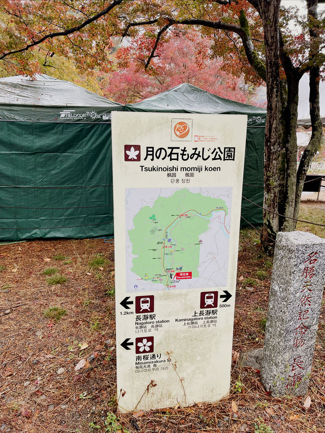 長瀞的紅葉小公園