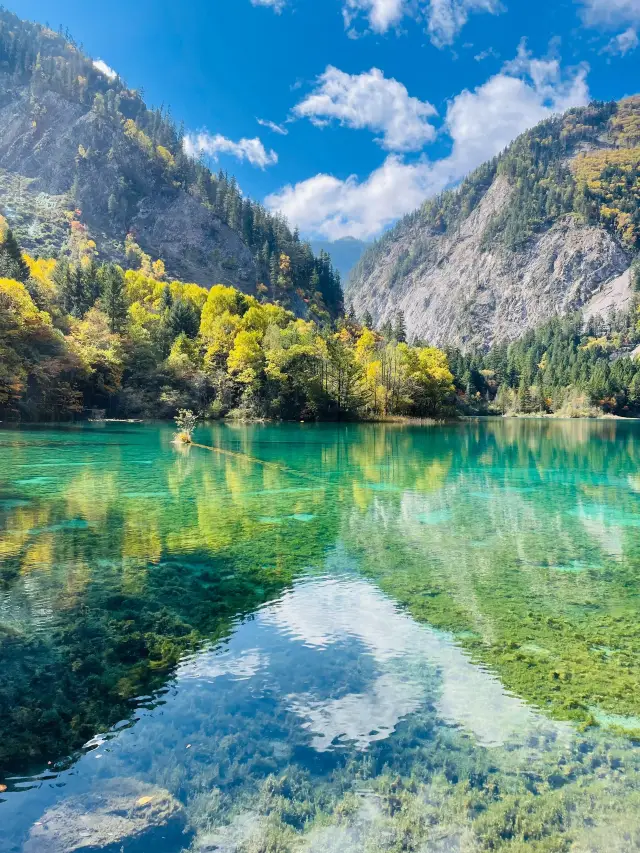 First time to Jiuzhaigou? This lazy Buddhist guide will help you have fun